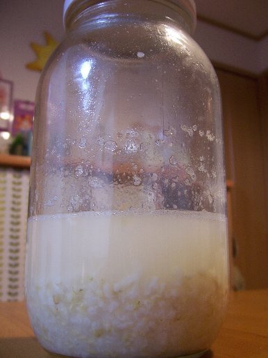 玄米ご飯で玄米酵母の画像
