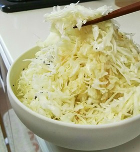 私の無限キャベツ