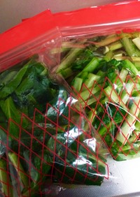 離乳食にもすぐ使える！葉物野菜の冷凍保存