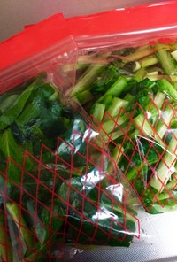 離乳食にもすぐ使える！葉物野菜の冷凍保存
