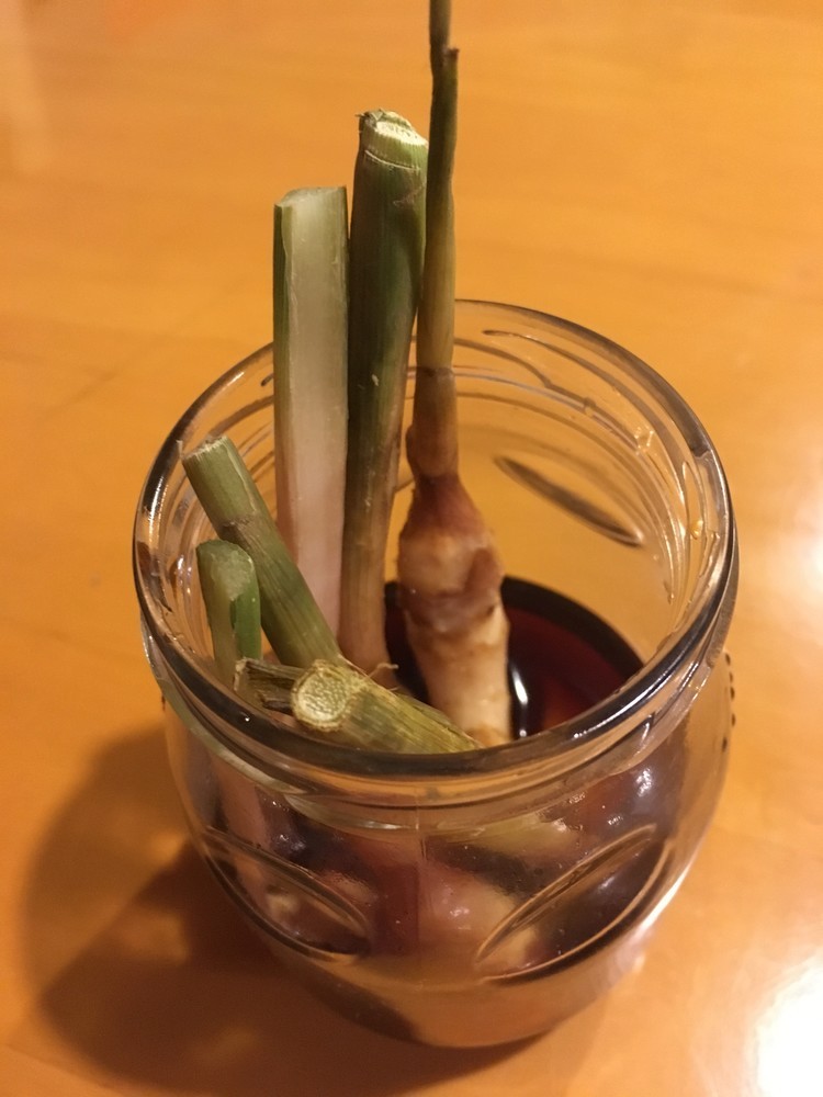 簡単☆葉生姜の麺つゆ漬けの画像