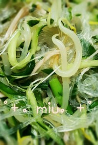 ＊＊残り野菜でベトナム風春雨サラダ