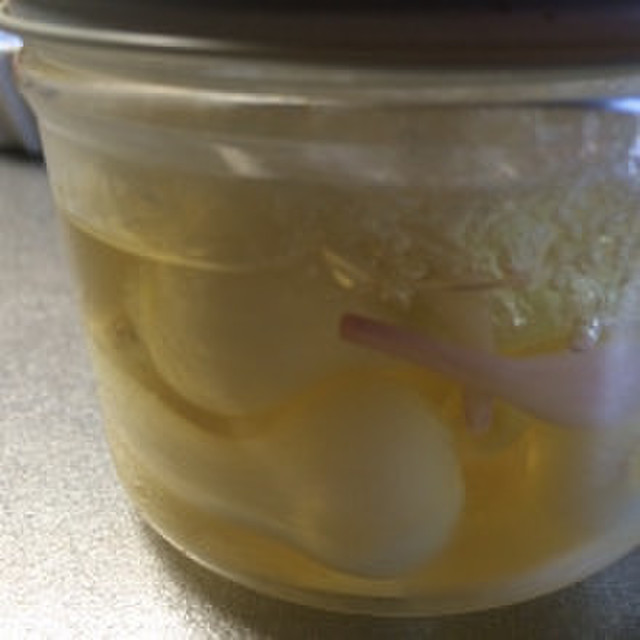 超簡単 アサツキとノビルの球根のピクルス レシピ 作り方 By 0円農業 クックパッド 簡単おいしいみんなのレシピが358万品