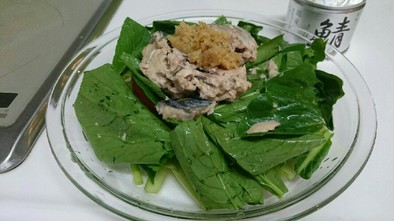 栄養満点   小松菜とサバ缶簡単レンチンの写真