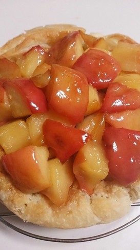 流行りのアップルパイ(簡単裏技で美味し)