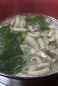 シャカシメジと乾燥ワカメの味噌汁（＾＾）
