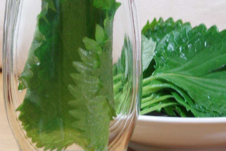 大葉しそ保存どうしてますか レシピ 作り方 By Arielorange クックパッド