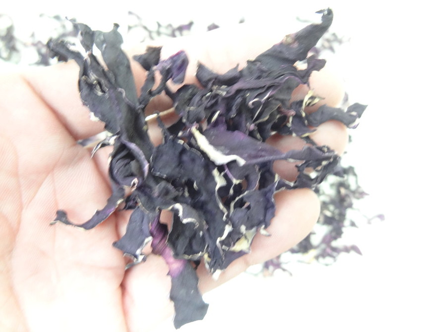 食品乾燥機ドラミニで干し紫キャベツ作りの画像