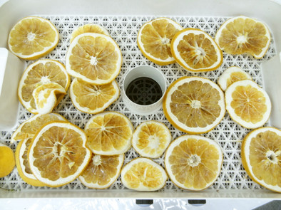 食品乾燥機でドライグレープフルーツ作りの写真