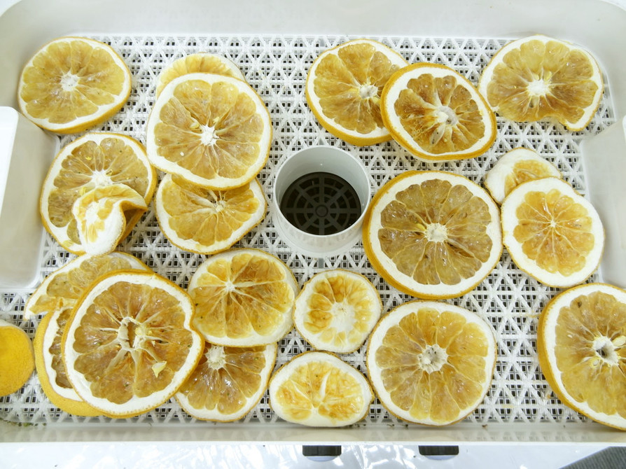 食品乾燥機でドライグレープフルーツ作りの画像