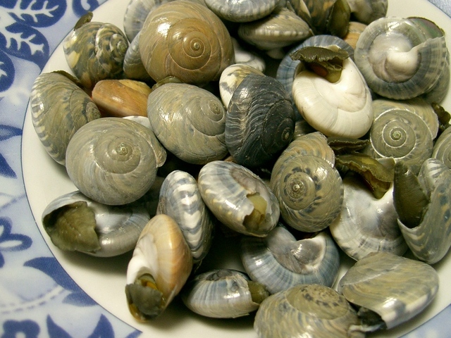 ながらみの塩茹で レシピ 作り方 By ケーゼトラウト クックパッド 簡単おいしいみんなのレシピが354万品 ながらみの塩茹で レシピ 作り方 By ケーゼトラウト クックパッド 簡単おいしいみんなのレシピが354万品