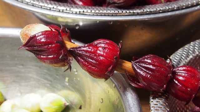 簡単 早い ローゼルの実の取り出し方 レシピ 作り方 By An0v0ko クックパッド 簡単おいしいみんなのレシピが359万品