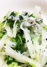 白菜とシラスのゆかりサラダ