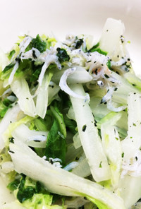 白菜とシラスのゆかりサラダ