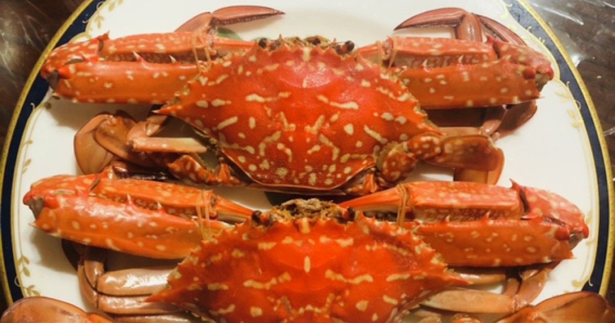 ワタリガニの釣り攻略 よく釣れるおすすめスポットや時期 釣り方を徹底解説します 釣りラボマガジン