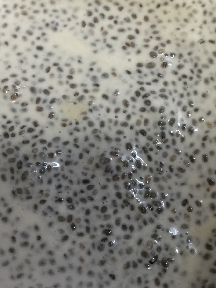 チアシードのココナッツミルクプディングの画像