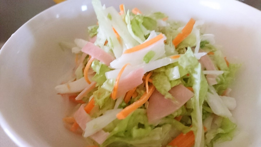 簡単！白菜のコールスローサラダ☆の画像