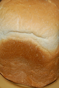 ハルユタカで焼く美味しい食パン