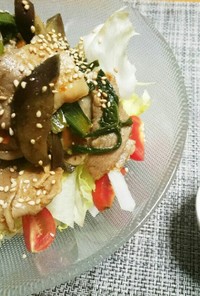豚バラと茄子の甜麺醤炒めサラダ