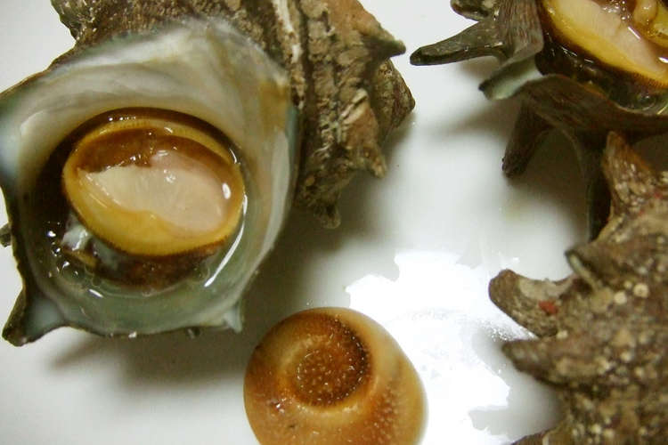 活きサザエの壺焼き 半殺し レシピ 作り方 By Tobimama クックパッド 簡単おいしいみんなのレシピが353万品