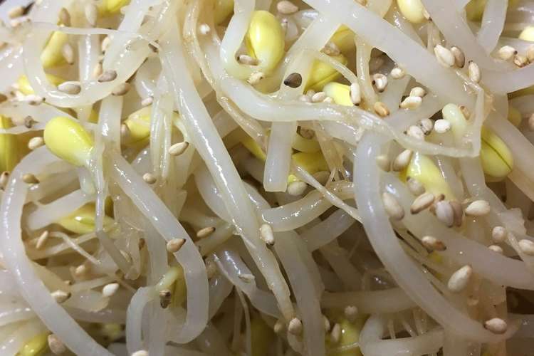 居酒屋直伝つまみシリーズ 豆もやしナムル レシピ 作り方 By クックn4h8fl クックパッド 簡単おいしいみんなのレシピが352万品