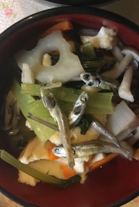 野菜たっぷり厚揚げと小魚のお味噌汁風煮物