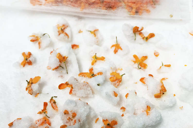 キンモクセイの砂糖漬け レシピ 作り方 By うのふ クックパッド 簡単おいしいみんなのレシピが375万品