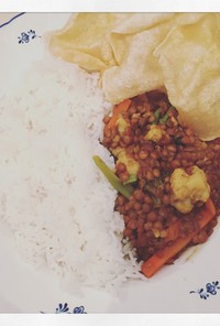 lentil curry (v)