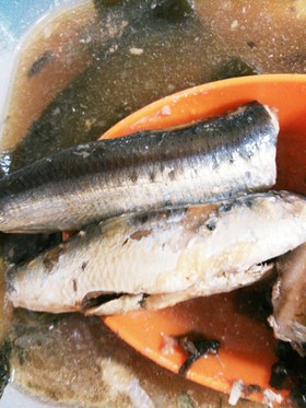 圧力鍋☆秋刀魚☆鰯☆骨まで柔らか煮込み