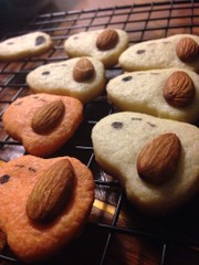 アーモンドがお耳のスヌーピークッキーの写真