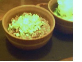 サラダ菜の肉味噌包み
