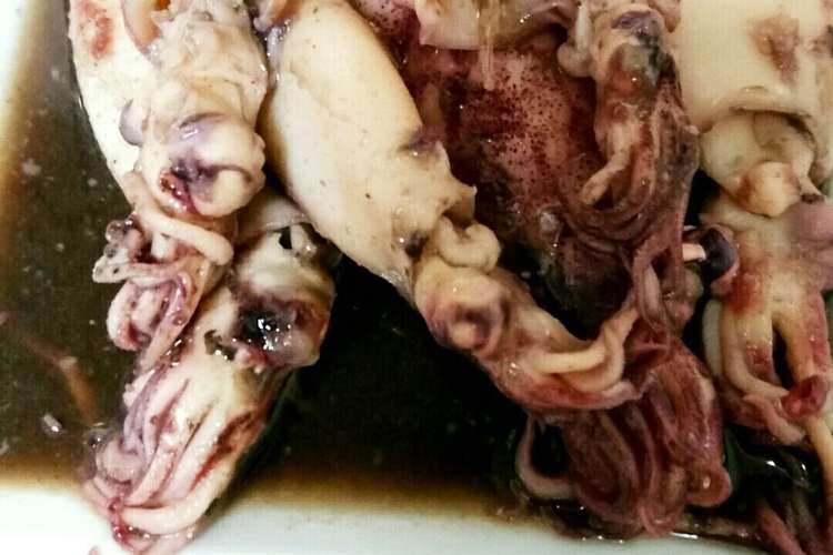 ヤリイカのトロトロやわらか煮 レシピ 作り方 By クッキングsaku クックパッド