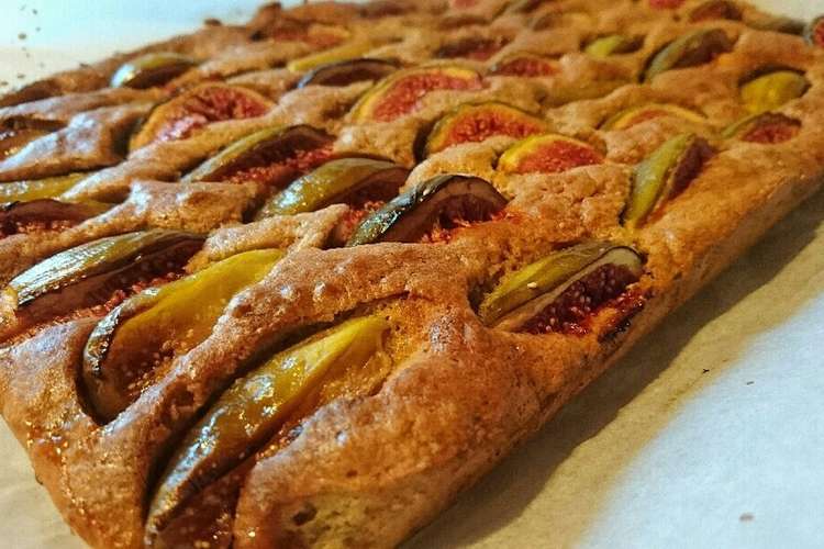 甘くないいちじくケーキ レシピ 作り方 By ばちこぷー クックパッド 簡単おいしいみんなのレシピが373万品