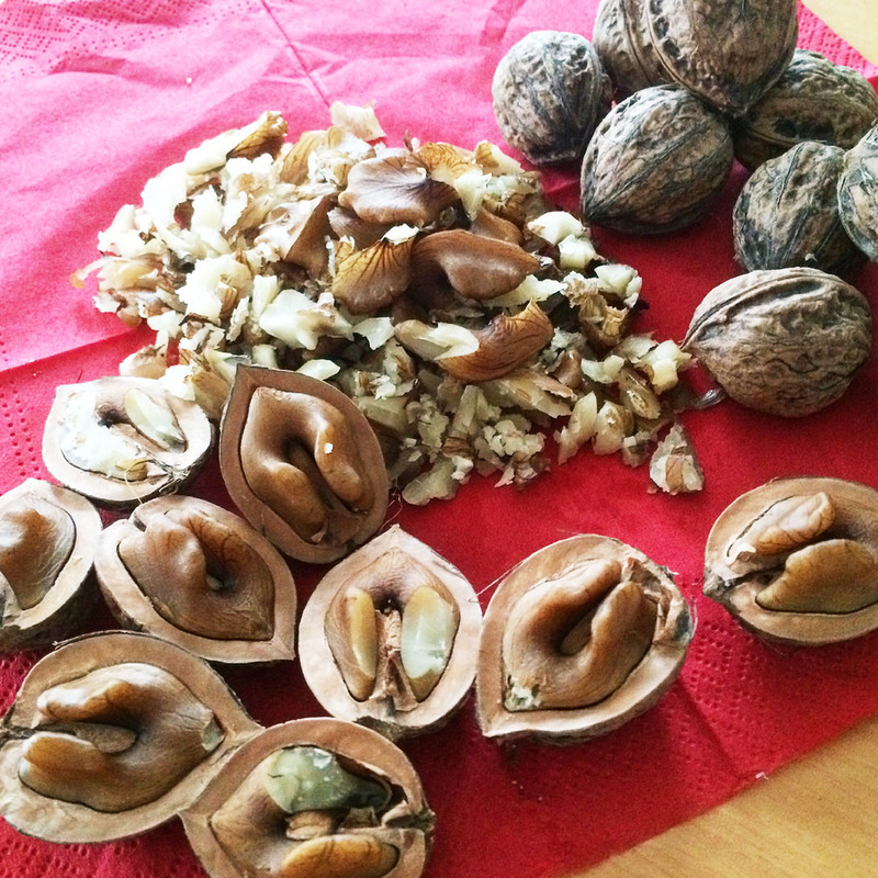 みんなが作ってる くるみ 殻のレシピ クックパッド 簡単おいしいみんなのレシピが349万品