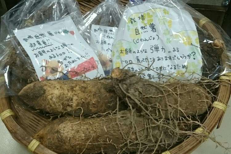 自然薯 山芋 長いも 長芋 の磯べ焼き レシピ 作り方 By ちび ベヂ クックパッド 簡単おいしいみんなのレシピが358万品