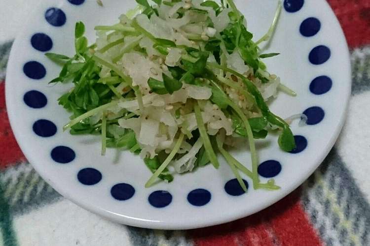 ハヤトウリと豆苗の浅漬け レシピ 作り方 By Michi 630 クックパッド
