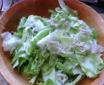 レタスの簡単サラダの写真