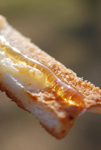 簡単サンドイッチのパンの耳ハニーチーズ！