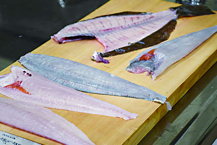 意外に簡単 魚のおろし方 ヒラメ編 レシピ 作り方 By 福島県 クックパッド