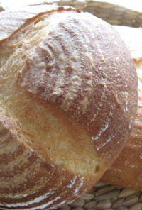 基本の天然酵母パン*ホシノ使用