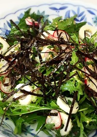 水菜と二十日大根の中華風サラダ