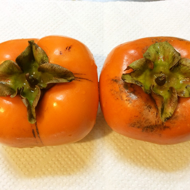 柿の切り方 お庭の柿ver レシピ 作り方 By とちみ クックパッド 簡単おいしいみんなのレシピが376万品