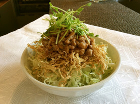 切り干し大根戻さず使おう!食物繊維サラダ