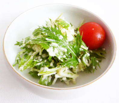 シャキシャキ水菜の白和えの写真