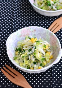 カリカリしらすのうま塩白菜サラダ