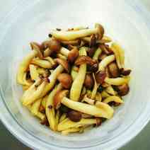 F457a2353575f725c1eb166690a94c96