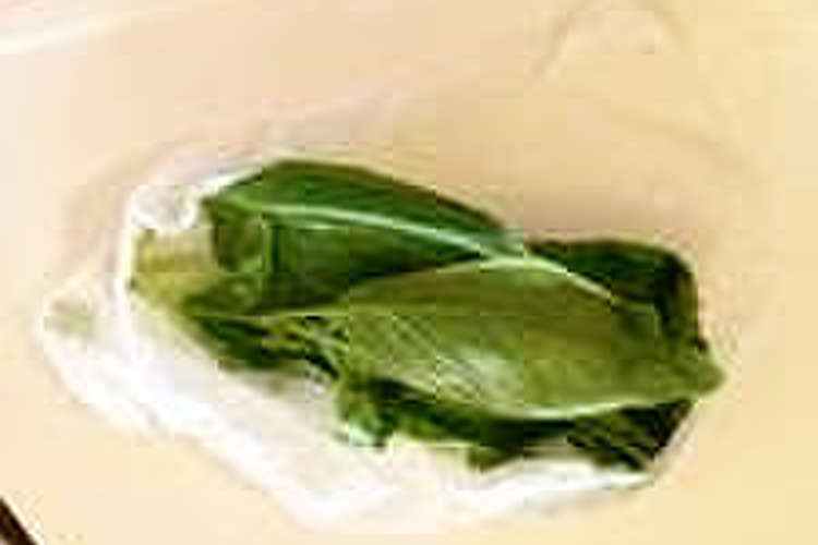 生バジル保存法 レシピ 作り方 By Komutatata クックパッド 簡単おいしいみんなのレシピが365万品