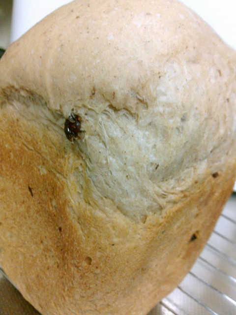 HBで簡単スパイシーレーズン食パンの画像