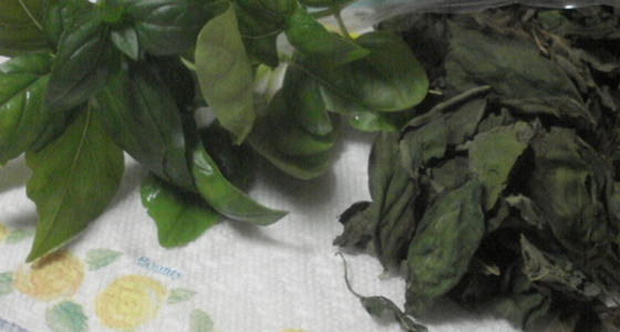 乾燥ハーブ レンジでチン レシピ 作り方 By Apple Home クックパッド 簡単おいしいみんなのレシピが371万品