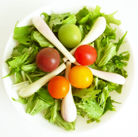 エシャレットと水菜とカラフルトマトサラダの画像
